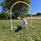 Hoopers Hoop PetEasy – kuva 1