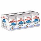 Royal Canin Indoor Jelly 85 g, 48-pack