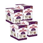 Royal Canin Sensory Feel Gravy 85g, 48-pack