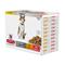 Hills Science Plan Young Adult Sterilised Chicken Salmon Pouch - Wet Cat Food 85 g x 12 st - Pouch – kuva 2