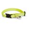 Kissan panta Basic Elastic Reflective – kuva 1