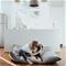Hunter Dog Bed Lancaster Grey – kuva 1