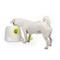 Pallonheittokone All For Paws Hyper Fetch Mini – kuva 1