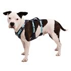 Ruffwear Flagline valjaat, harmaa