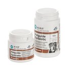 Petguide suolisto