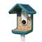 Bird Buddy -lintulauta kameralla – kuva 1