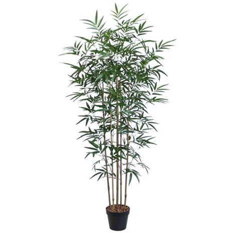 Home4you Bamboo 150 cm tekopuu