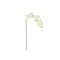 Bloomingville Orchid – kuva 1