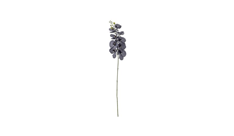 Bloomingville Orchid