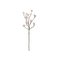 Bloomingville Magnolia – kuva 1