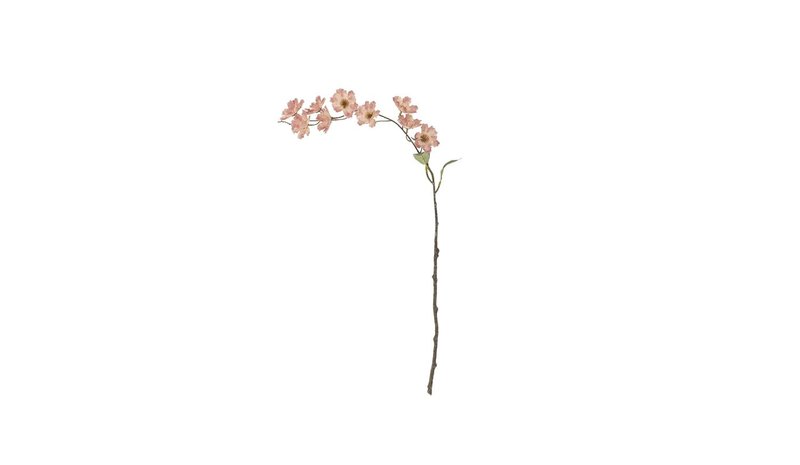 Bloomingville Wild Cherry – kuva 1/1