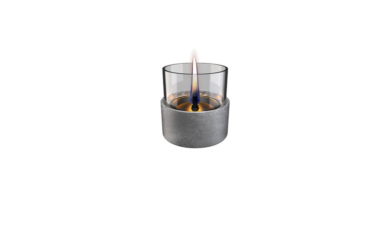 Tenderflame Aster Lava Grey – kuva 1/1
