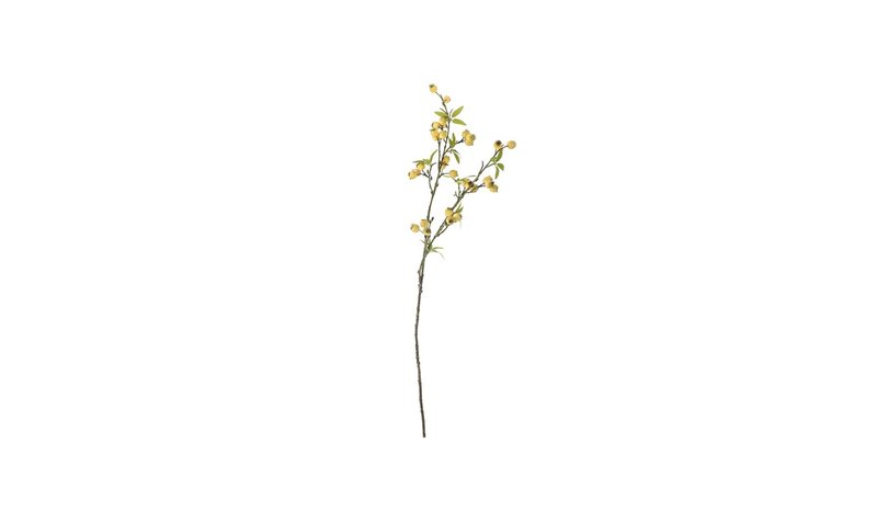 Bloomingville Hawthorn – kuva 1/4