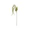 Bloomingville Foxtail – kuva 2