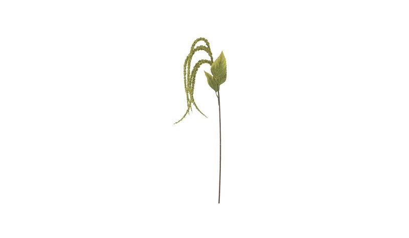 Bloomingville Foxtail