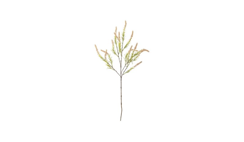 Bloomingville Foxtail