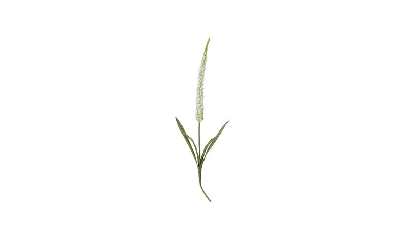 Bloomingville Foxtail
