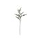 Bloomingville Pine – kuva 3