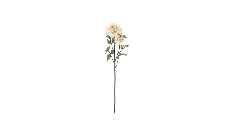 Bloomingville Chrysantemum