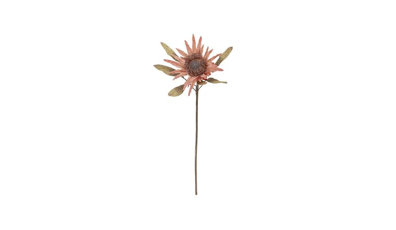 Bloomingville Protea