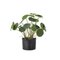 Bloomingville Copper – kuva 1