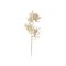 Bloomingville Coral – kuva 1