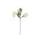 Bloomingville Reed – kuva 1