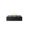 Tenderflame Daisy Black – kuva 1