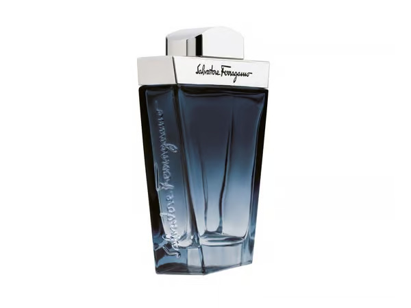 Salvatore Ferragamo Subtil - EdT 100 ml – kuva 4/5