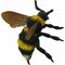Bumblebee - Collecta – kuva 1