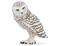 Harfang des Neiges Figurin – kuva 1