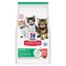 Hill's Science Plan Kitten Salmon – kuva 1