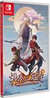 Twin Blades of the Three Kingdoms, Nintendo Switch -peli