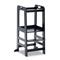 Hauck Learn N Explore -seisontajakkara, black – kuva 8