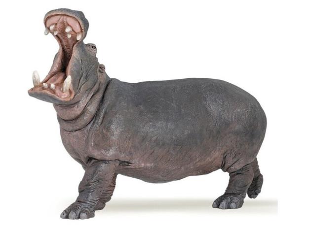 Virtahepo