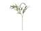 Bloomingville Eucalyptus – kuva 1