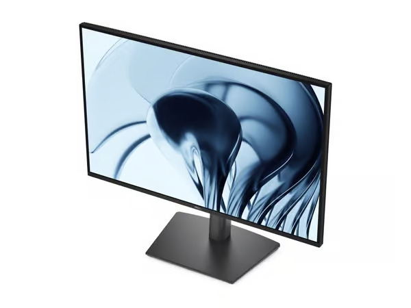 24" Dell Pro P P2426