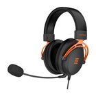Cepter Invictus (CINVICTUS) PC/PS4/PS5/Xbox/Xseries/NSW, pelikuulokemikrofoni