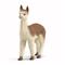 Schleich Alpaca – kuva 6