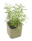 Orthex Eden Recycled 12cm yrttiruukku