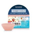 Yankee Candle vahatuoksu Watercolour Skies