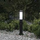 vidaXL Pollarivalaisin sensorilla 50 cm musta IP44
