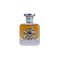 Aurora Explorer Silver Eau De Parfum For Men 100 ml - 100 ml – kuva 1