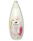 Dove Winter Care Body Wash (Limited Edition) 720 ml