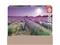 Educa 1000 Bike In A Lavender Field – kuva 5
