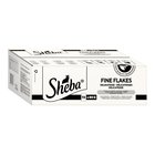 72x85g annospussit Delicacies in Jelly -siipikarjalajitelma Sheba märkäruoka kissoille