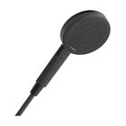 Hansgrohe raindance alive select s hand shower 125 3jet ecosmart m