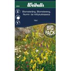Weibulls Kukkaniitty-siemenpussi, 25 grammaa
