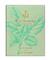 Carthusia Intenso di Basilico Extrait de Parfum 50 ml – kuva 1