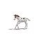 Schleich Keräilyvarsa Dipper – kuva 1